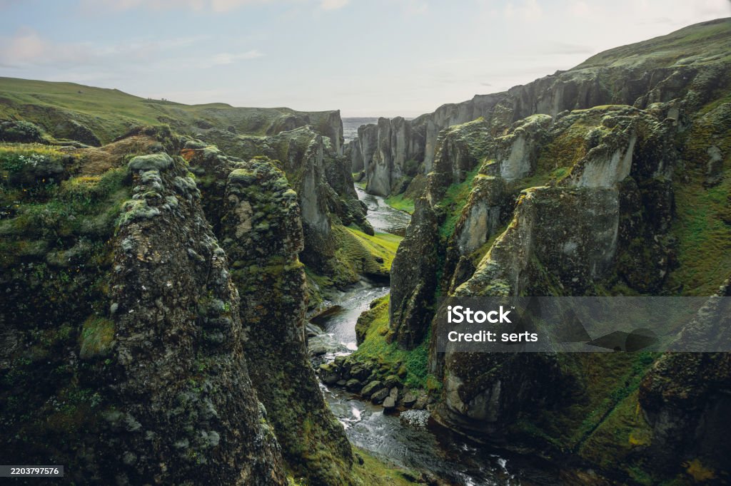 Nature Photo 1
